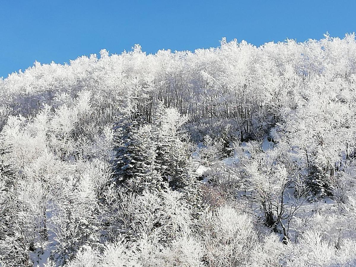 ホテル 凌雲閣 上富良野町 エクステリア 写真